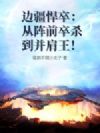 边疆悍卒:从阵前卒杀到并肩王!
