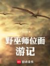 野巫师位面游记