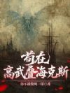 苟在高武叠海克斯