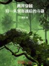 两界穿越:另一头双帝战后的斗破