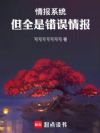 情报系统,但全是错误情报