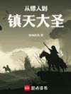 从镖人到镇天大圣