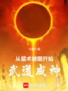 从箭术破限开始武道成神