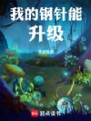 我的钢针能升级